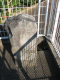 image0009
