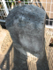 image0010