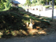 image0010