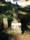 image0011