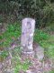 image0018