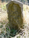 image0019